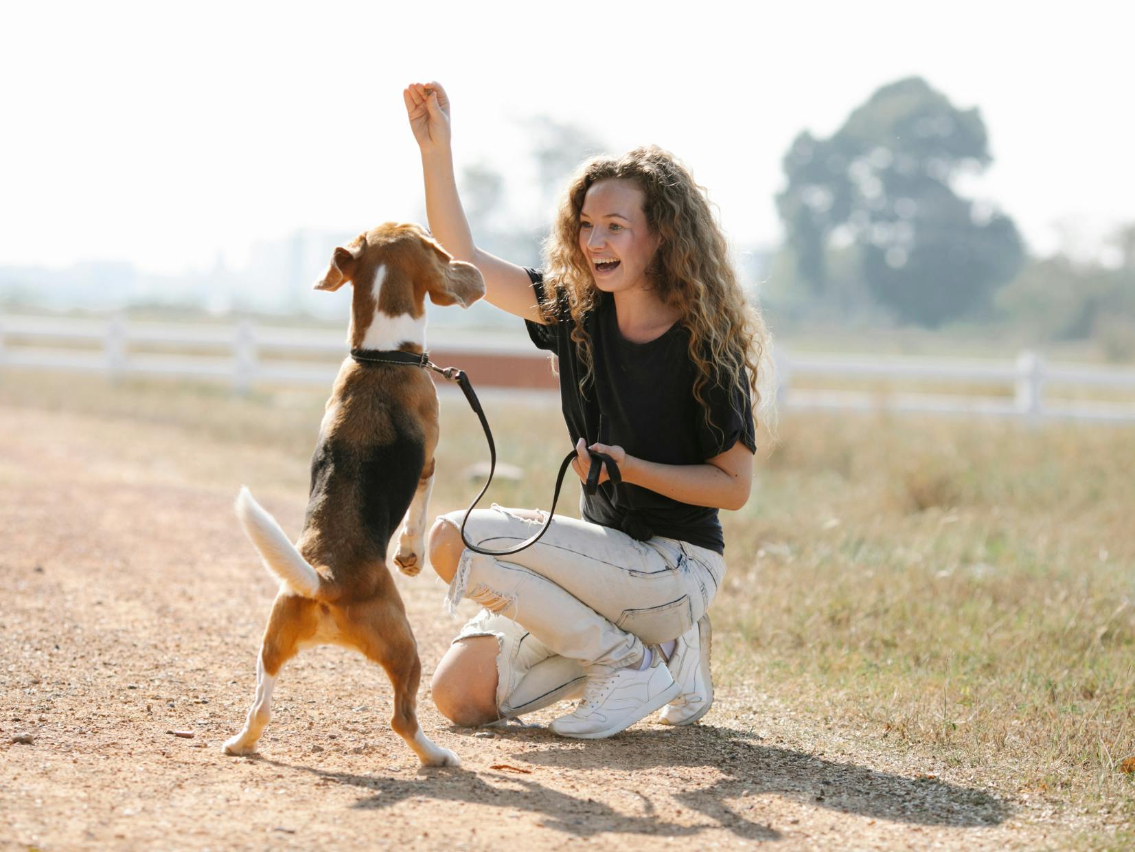 chien avec sa maitresse qui fait un cours d'éducation