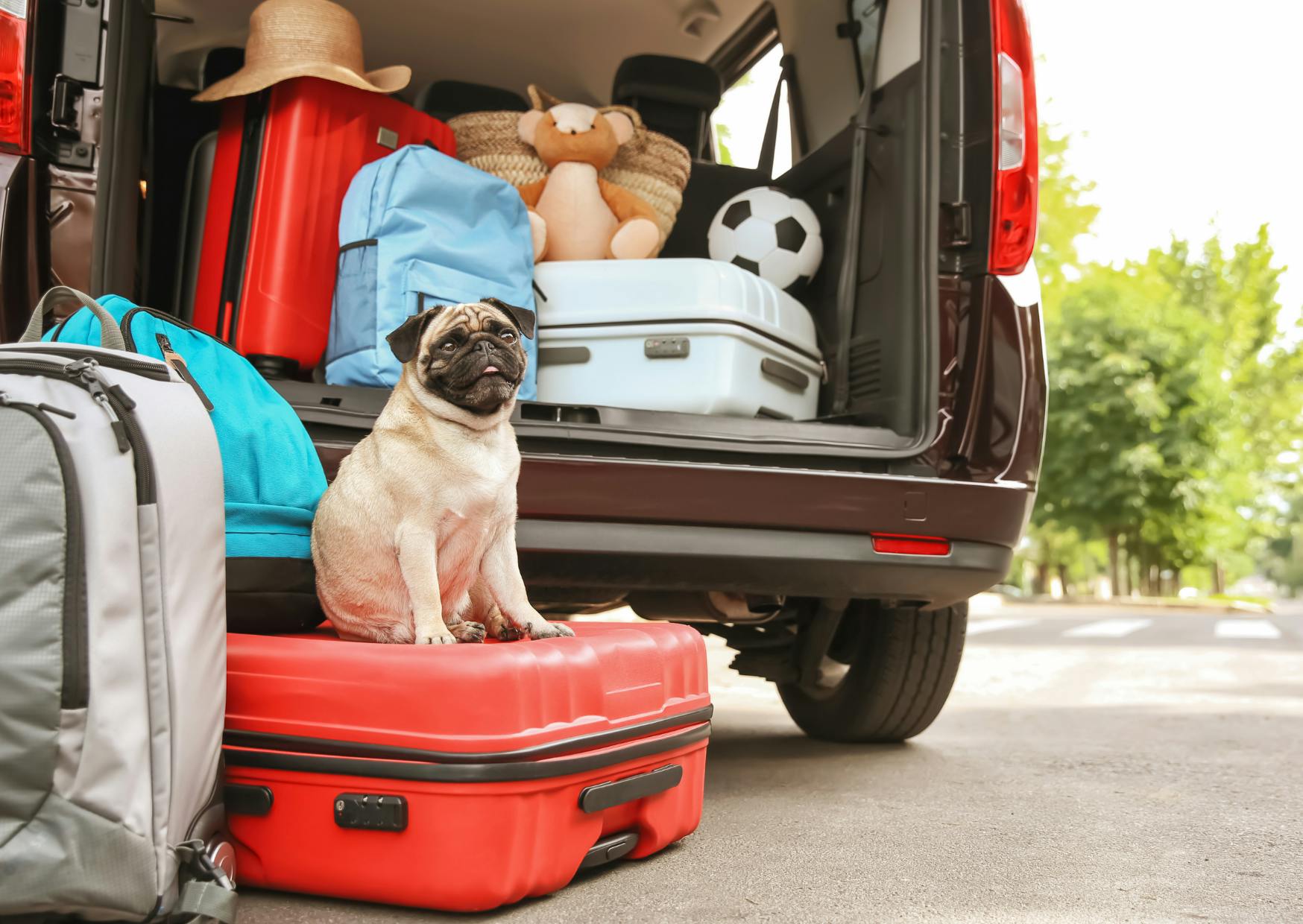 carlin assis sur une valise rouge, on le voit devant une voiture type fourgonette remplie de bagages