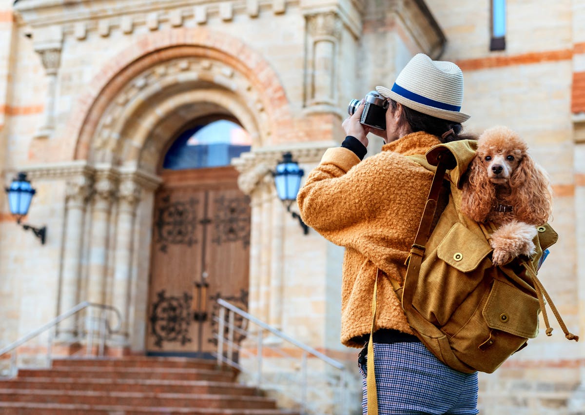 chien dans un sac à dos, pendant que son maitre regarde un bâtiment touristique