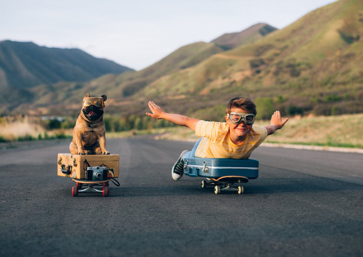 bulldog avec un petit garçon, il sont tous les deux sur des skateboard