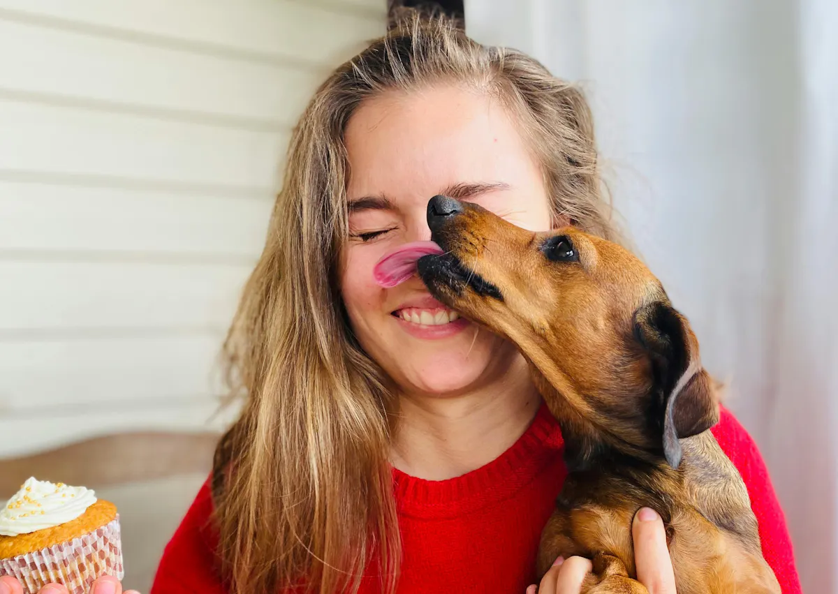 chien tenu dans les bras de sa maman, il la lèche