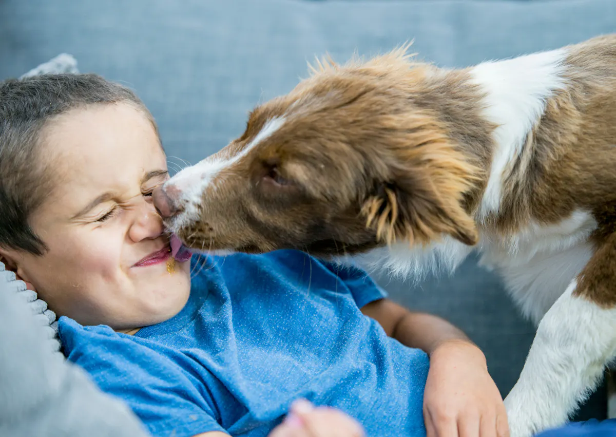 chien qui lèche une jeune garçon