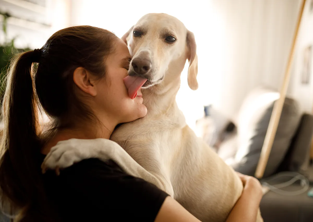 chien sur sa maitresse, il la lèche