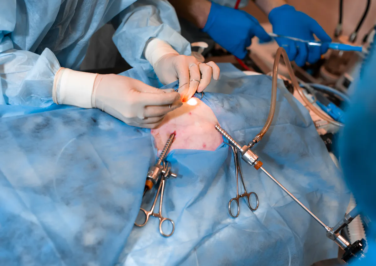 un vétérinaire est en train d'opérer un chien