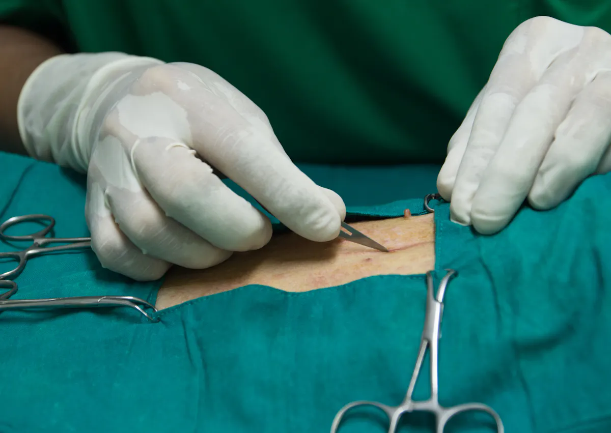 un vétérinaire commencer à inciser un chien