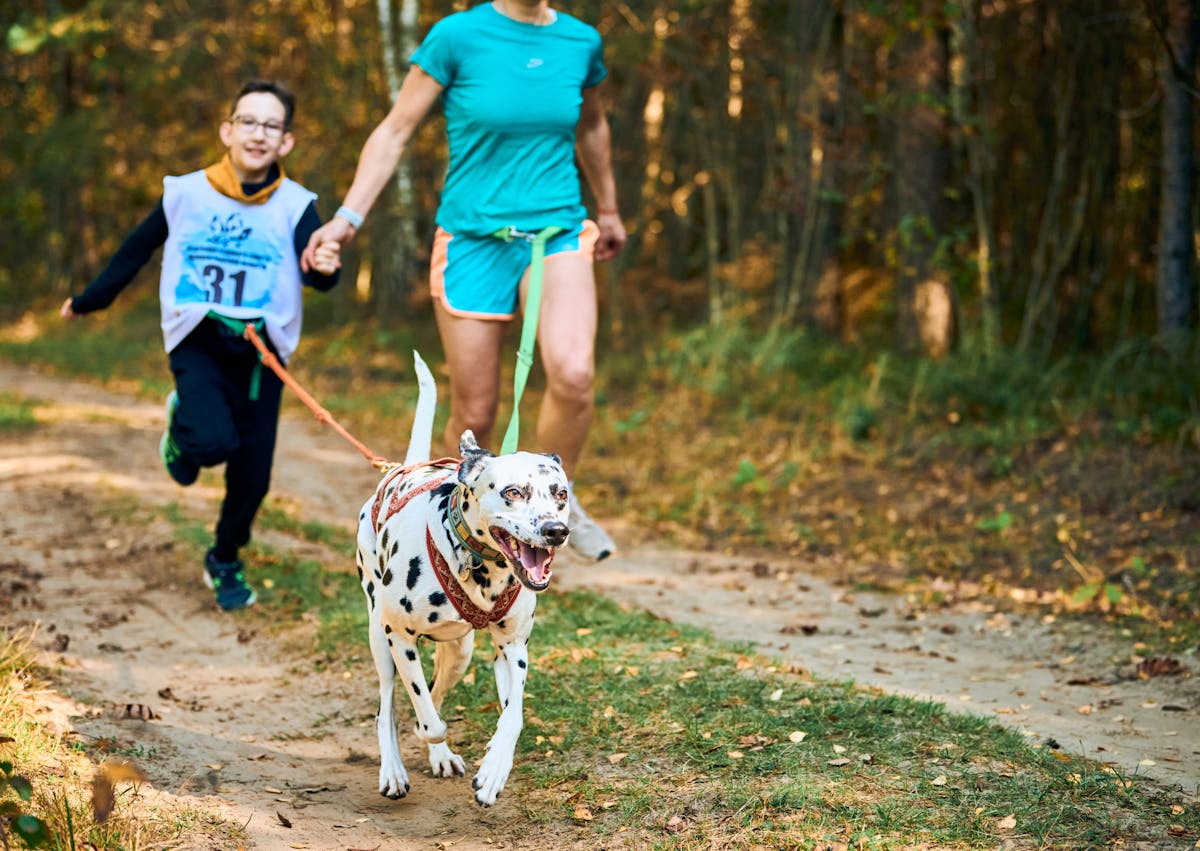 une femme et un petit garçon courent dans une forêt ensoleillée avec un dalamatien