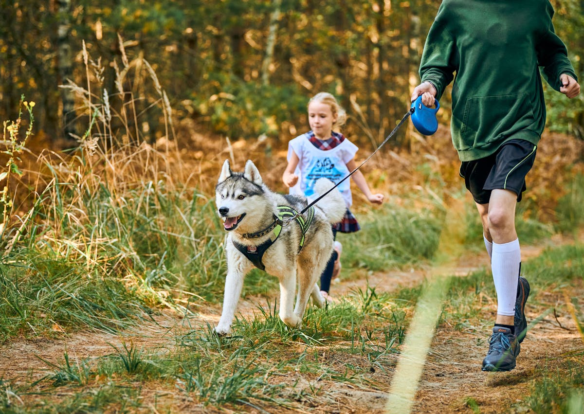 une homme et sa fille courent avec leur chiend ans la forêt