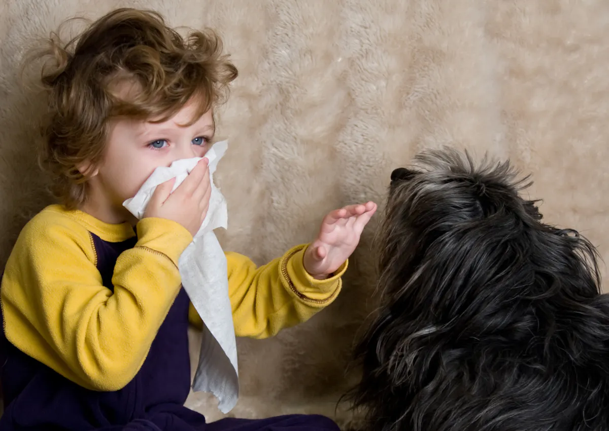 enfant ellergique près de son chien