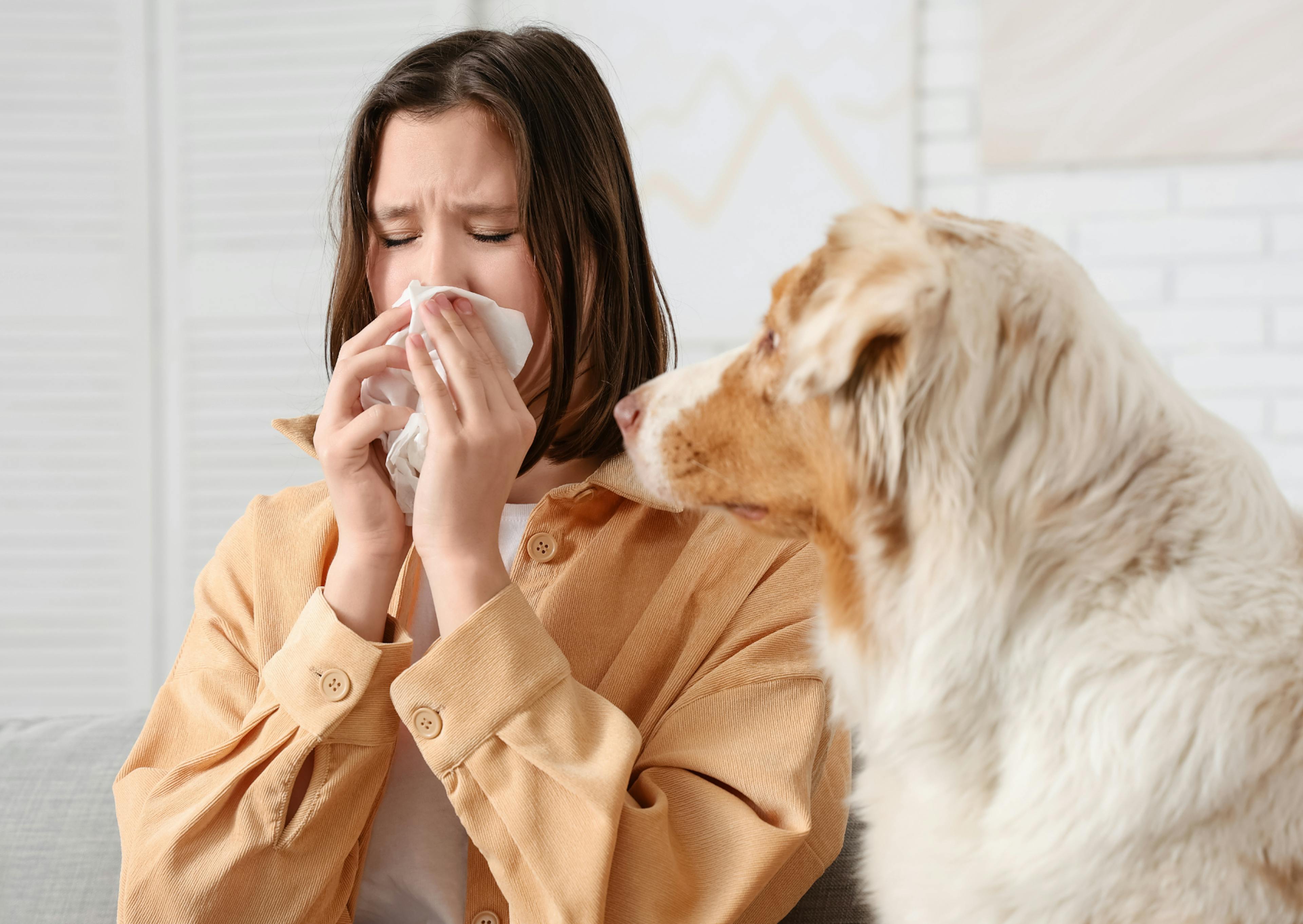une femme se mouche pendant que son chien la regarde 