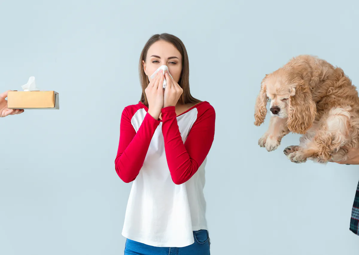 uen femme se mouche pendant qu'on lui tend un chien type cocker et un paquet de mouchoirs