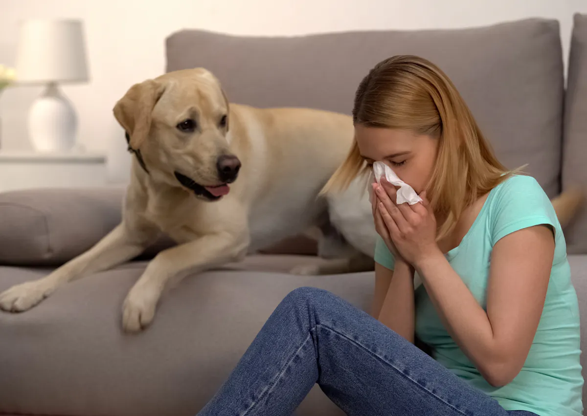 une femme se mouche et son chien la regarde couché sur le canapé