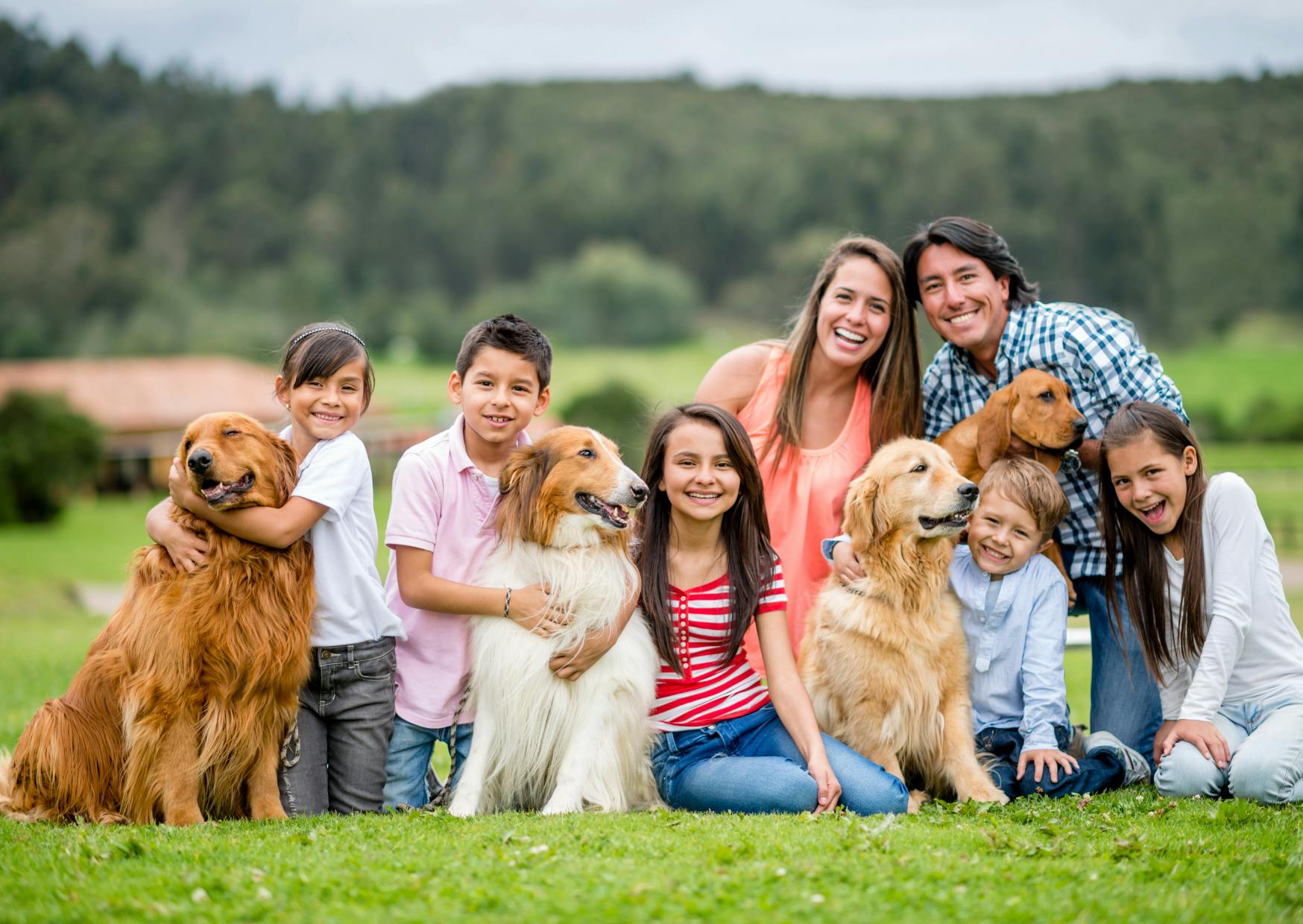 memebres d'une famille qui posent avec leurs chiens pour une photo