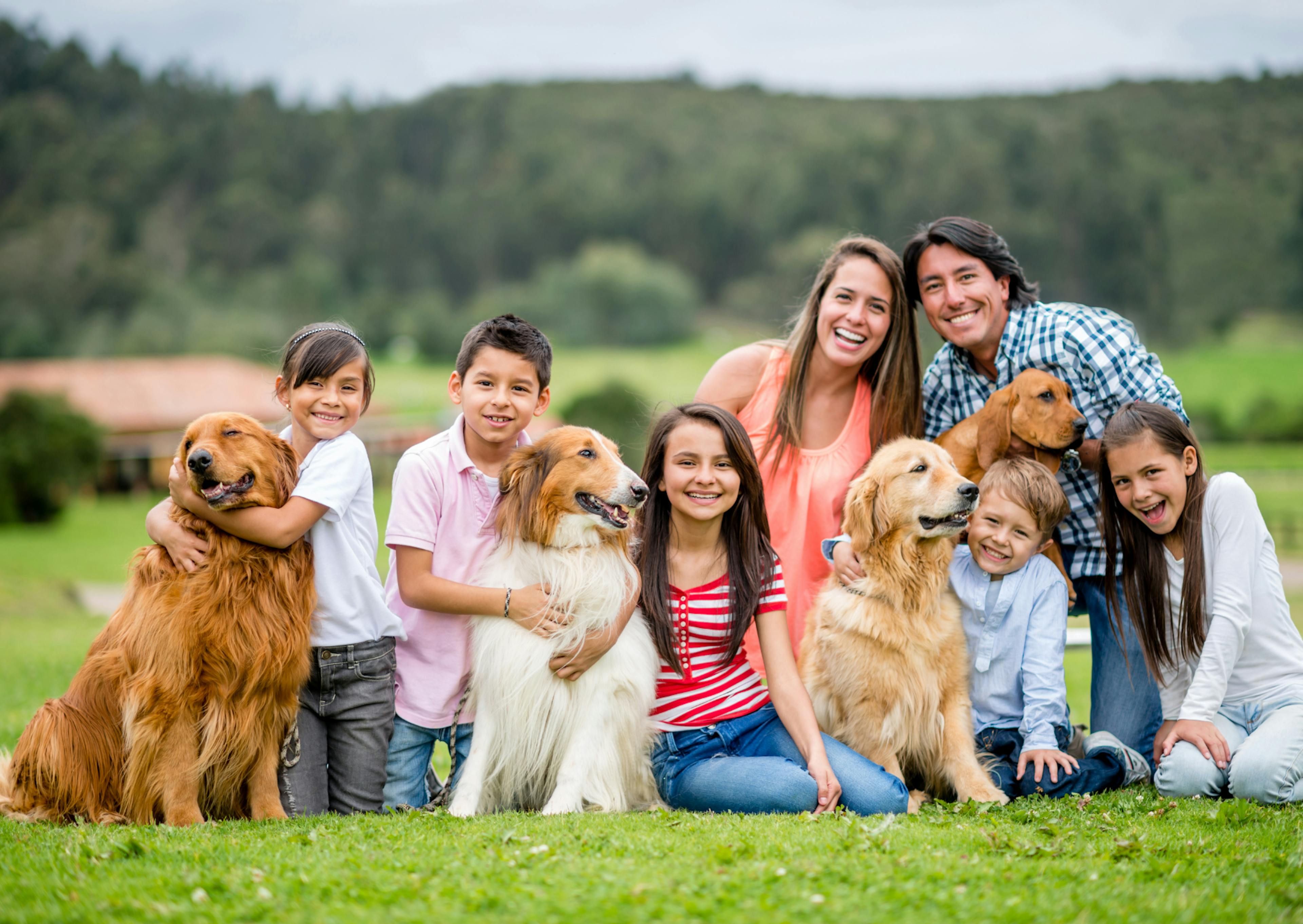 memebres d'une famille qui posent avec leurs chiens pour une photo