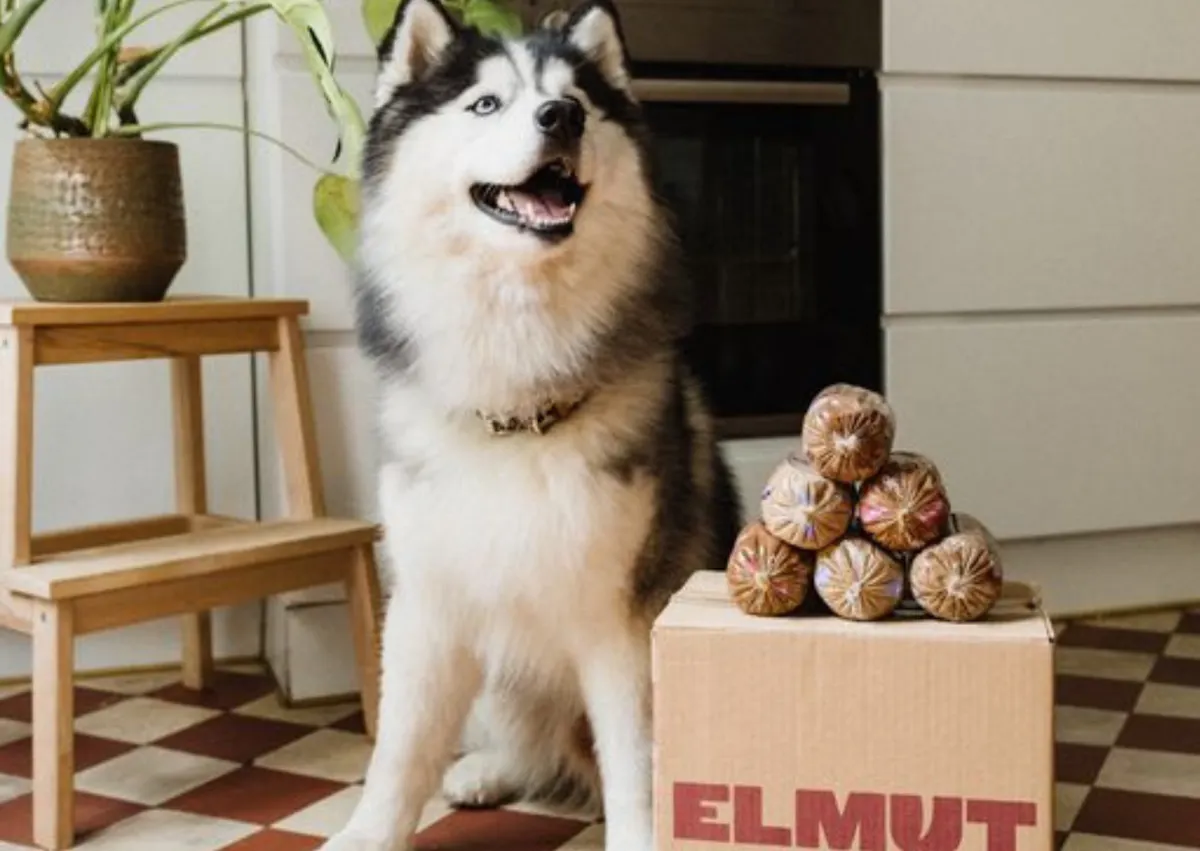 un chien est à côté d'un cartoon de friandises avec des boudins elmut par dessus