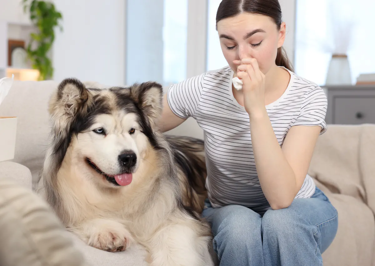 chien couché dans un canapé, il y a une femme à coté de lui qui se bouche le nez