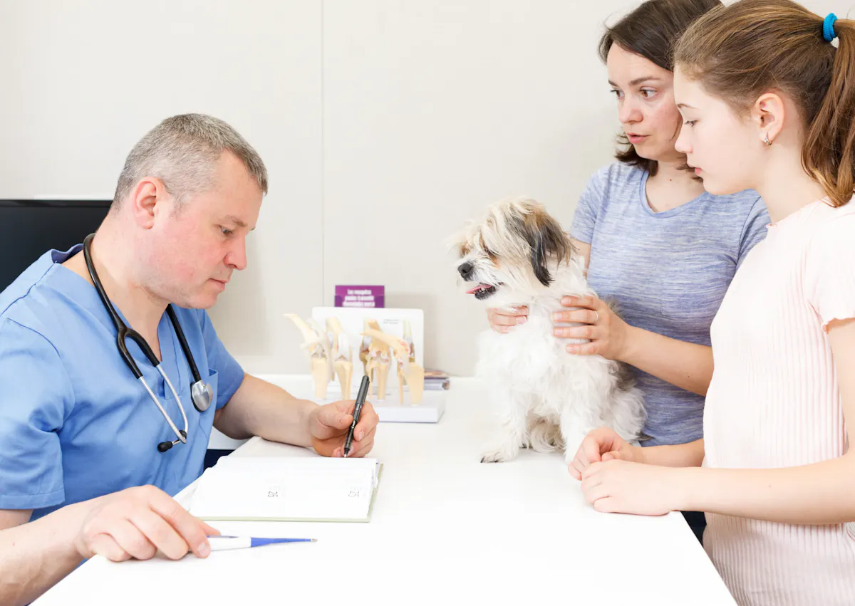 chien assis sur une table de consultation