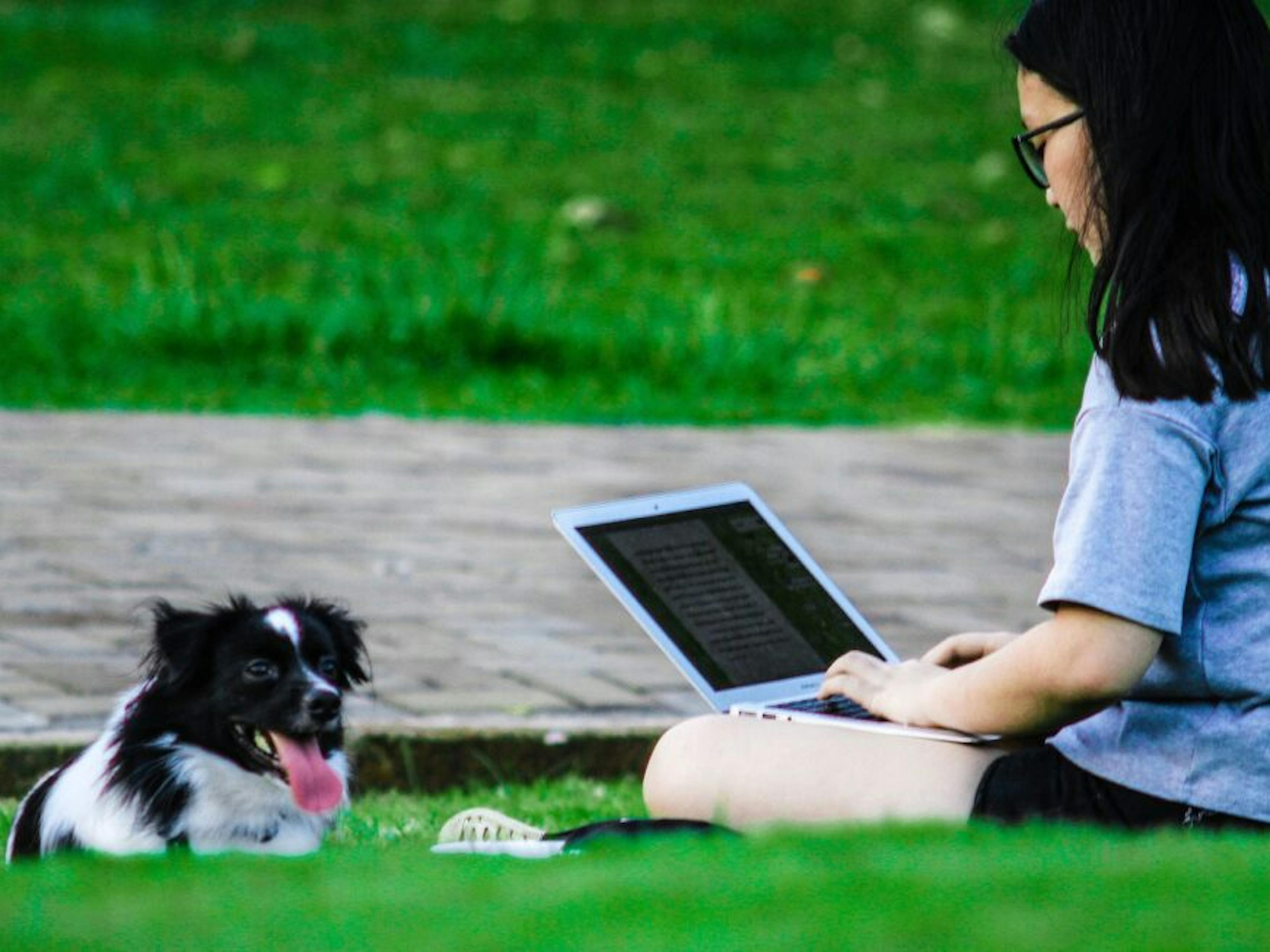 un chien adopté qui regarde son maître travailler