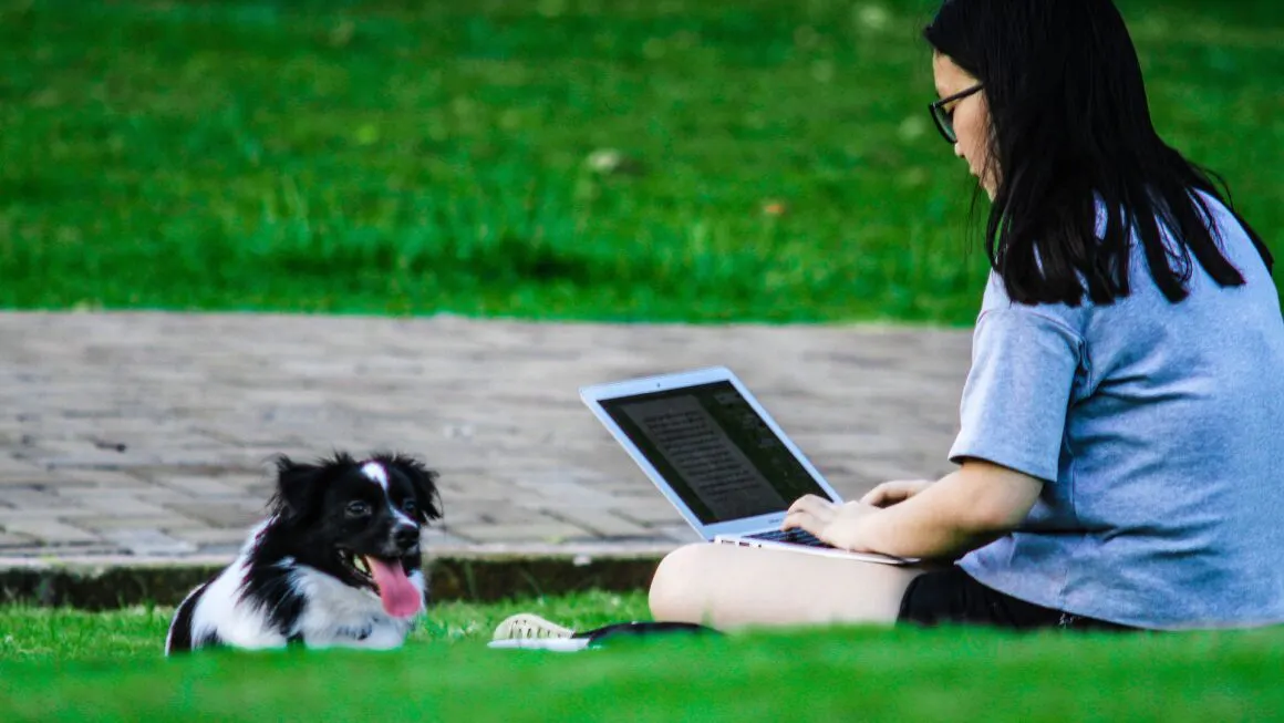 un chien adopté qui regarde son maître travailler