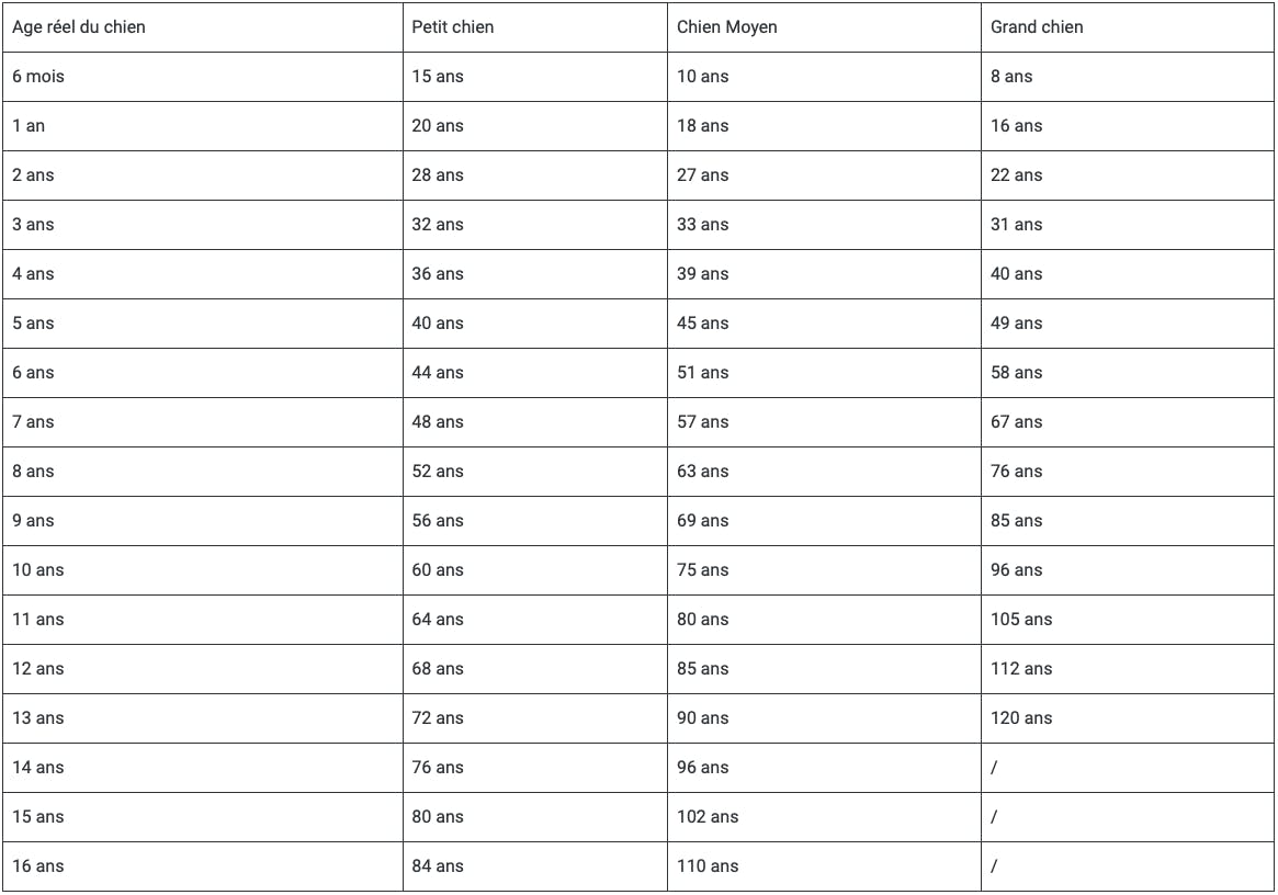 Tableau de conversion âge chien / humain