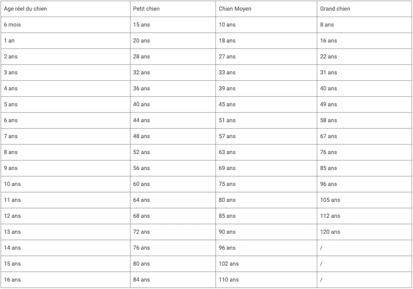 Tableau de conversion âge chien / humain