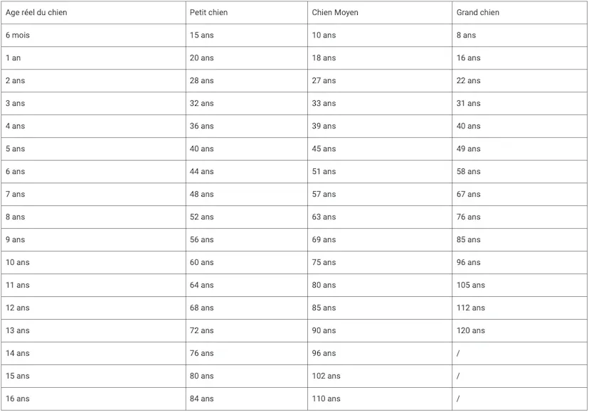 Tableau de conversion âge chien / humain