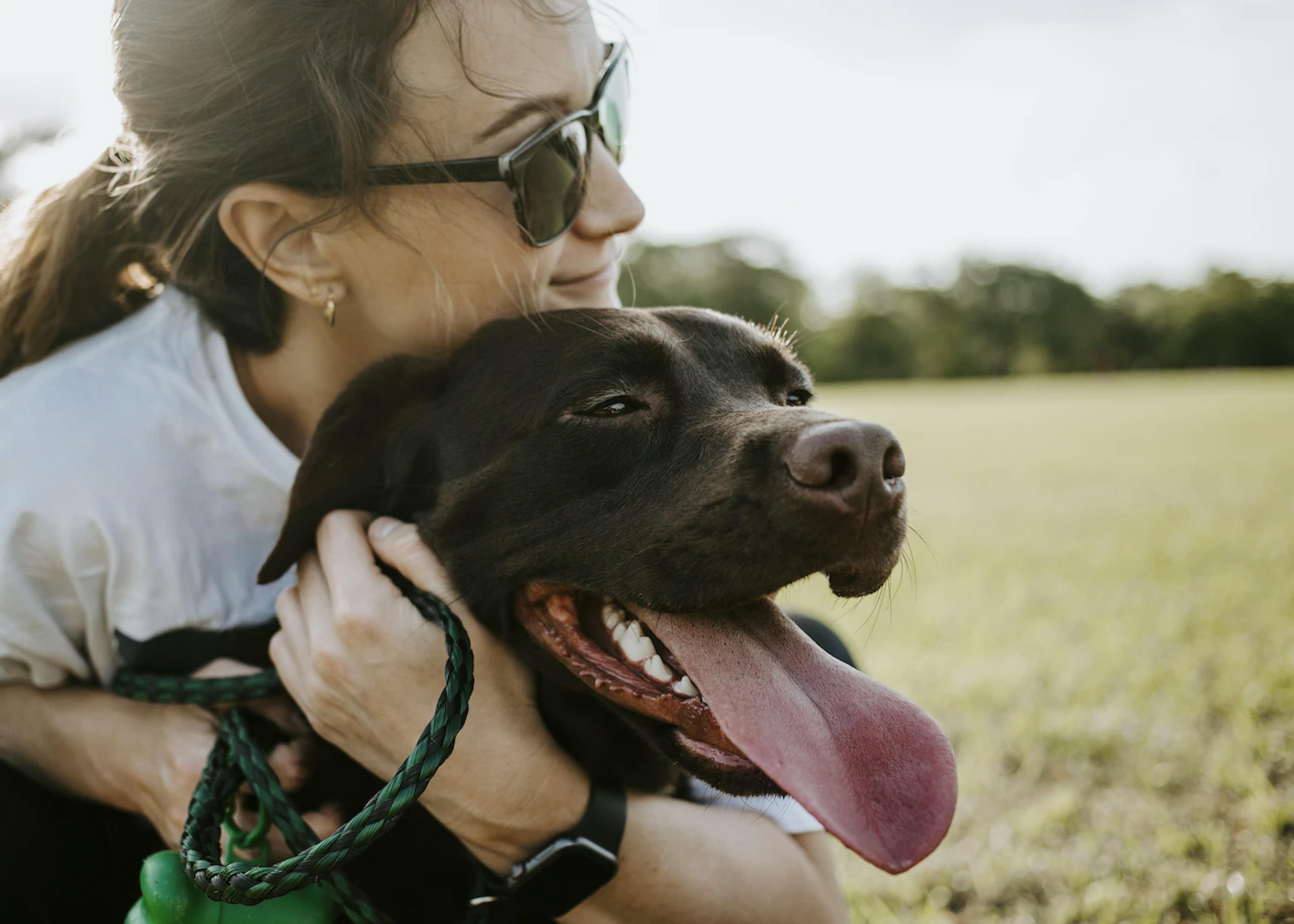 Un chien et sa maîtresse heureux – @Wade Austin Ellis