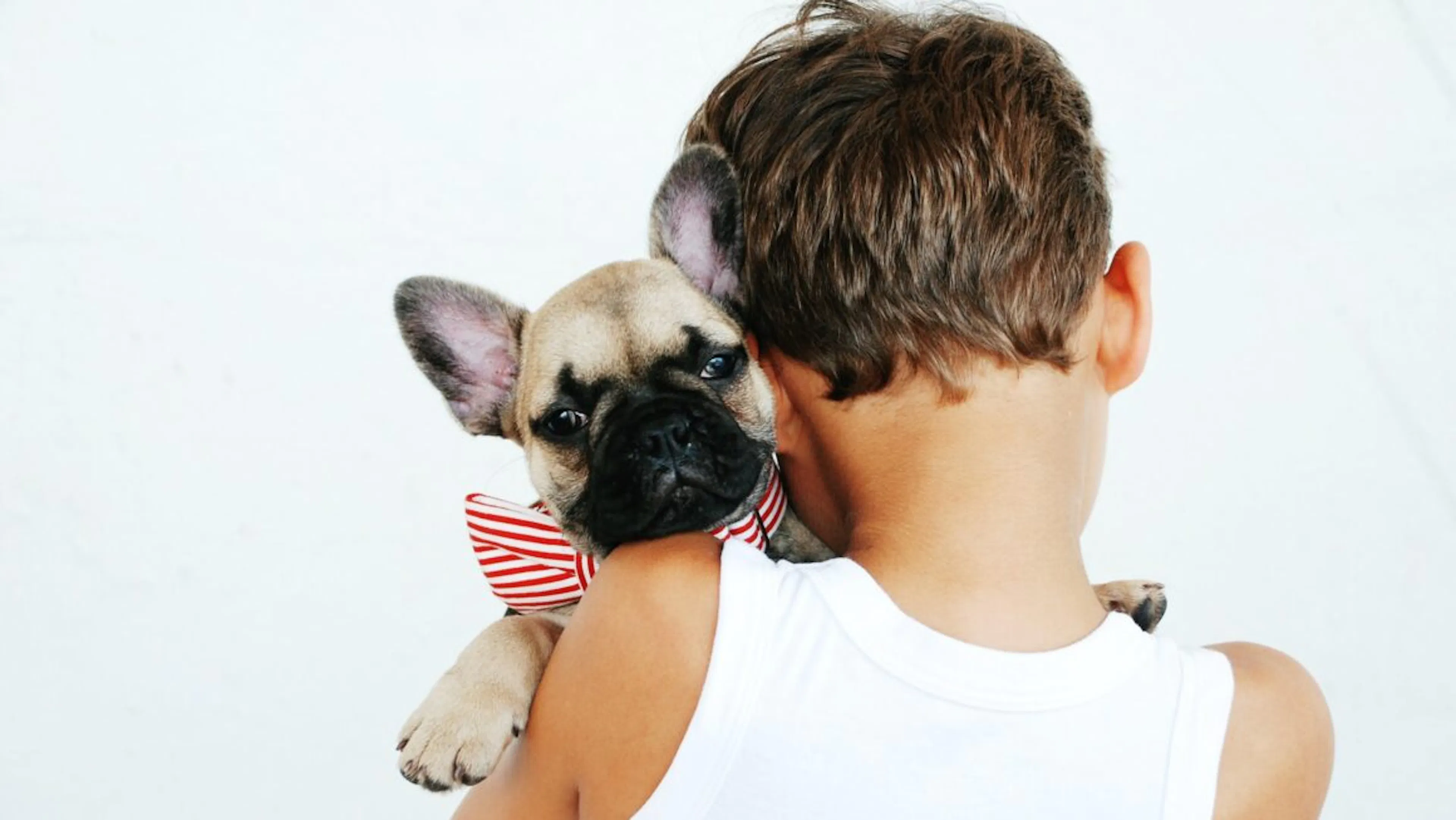 chien et enfant