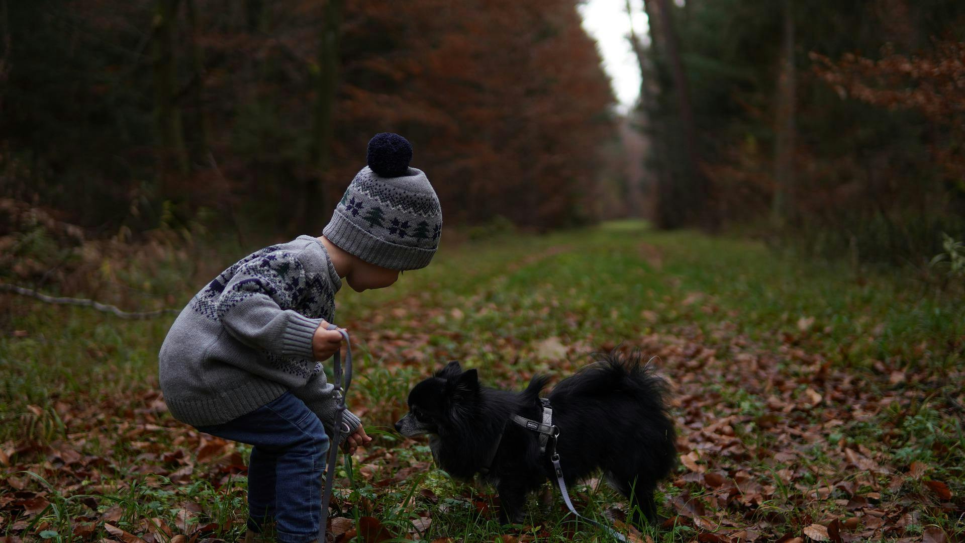 un chiot et en enfant dans une forêt Sources : Pixabay, Mylene2401