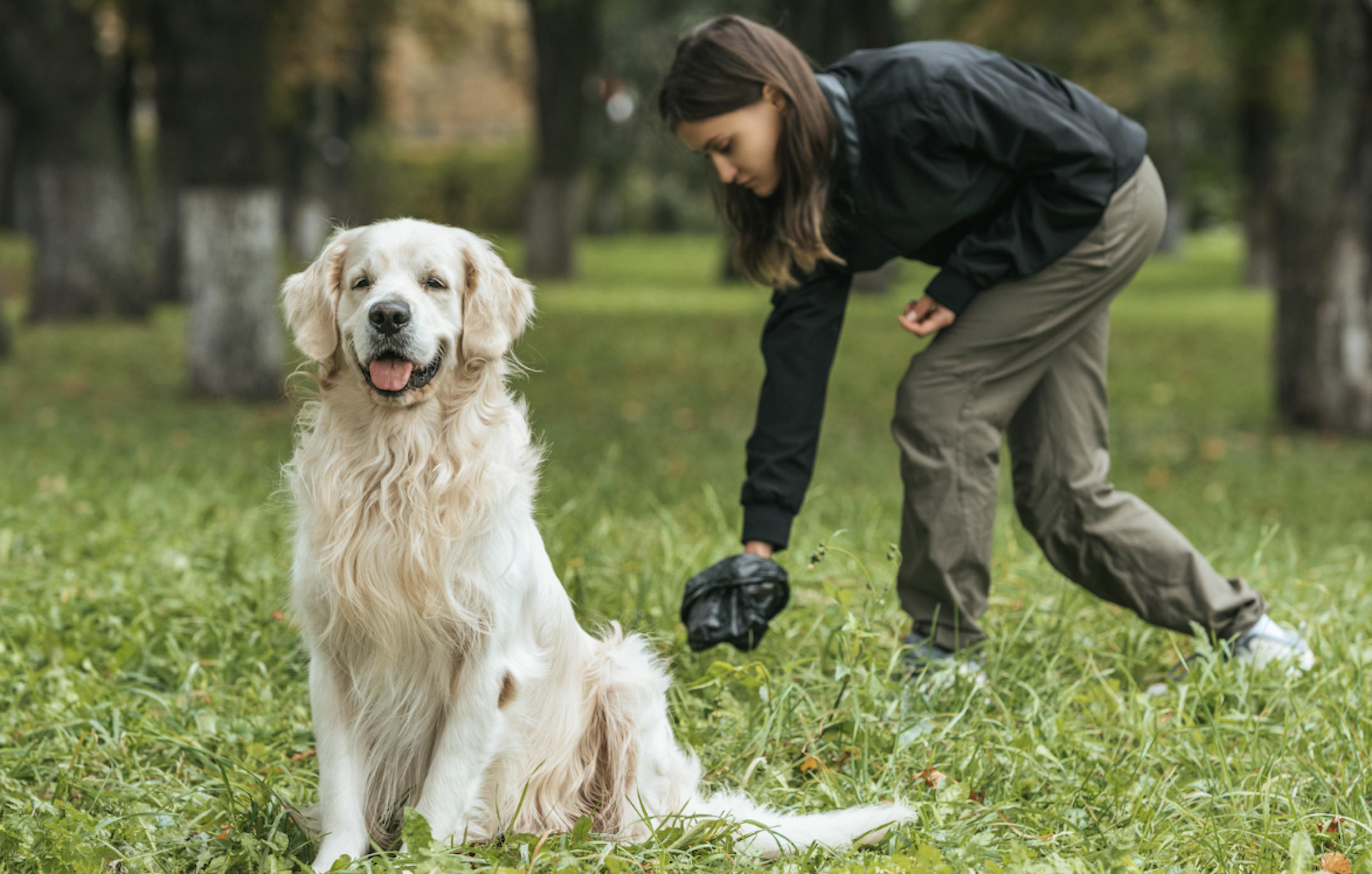 personne qui ramasse les crottes de son chien