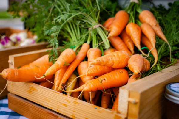Caisse de carottes