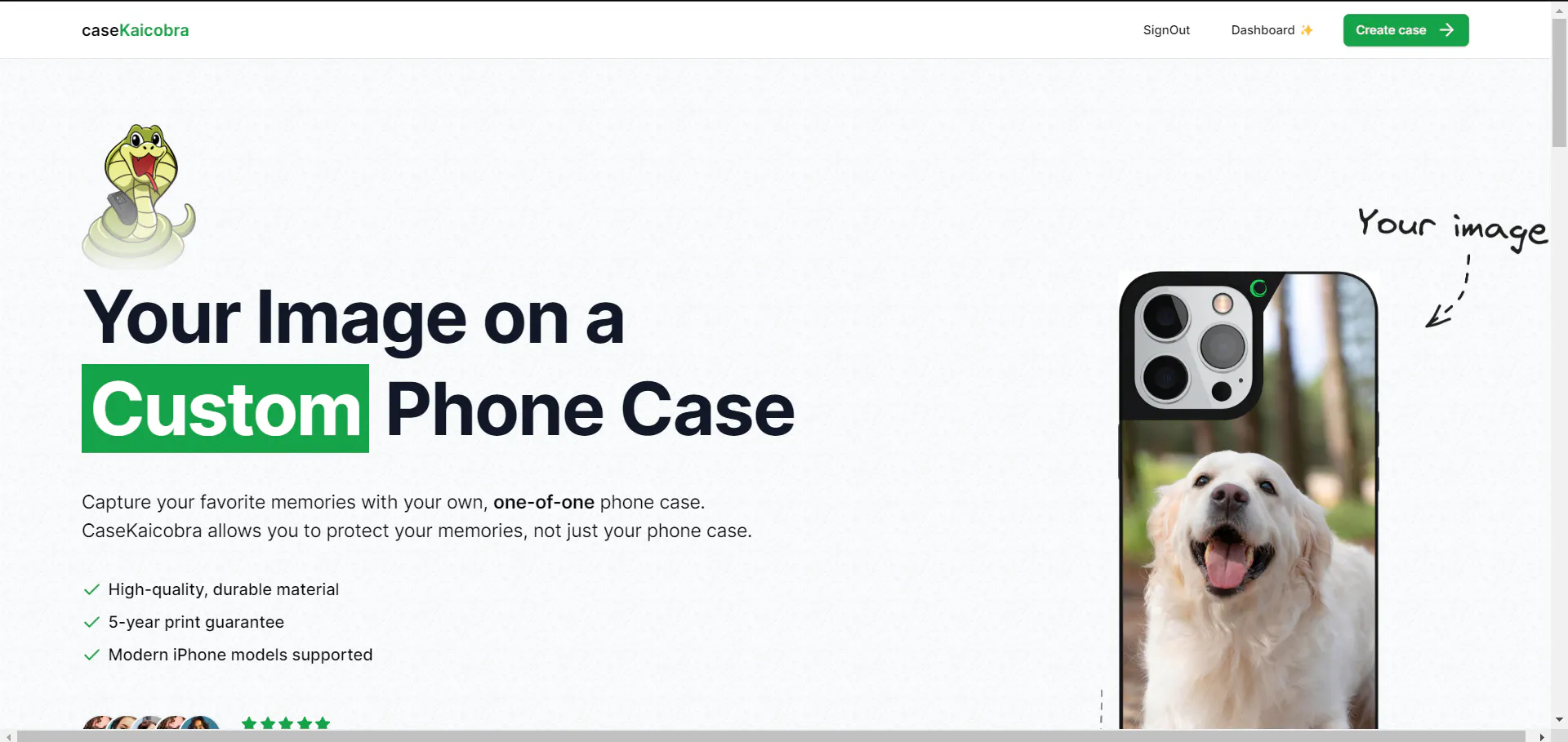 casekaicobralandingpage