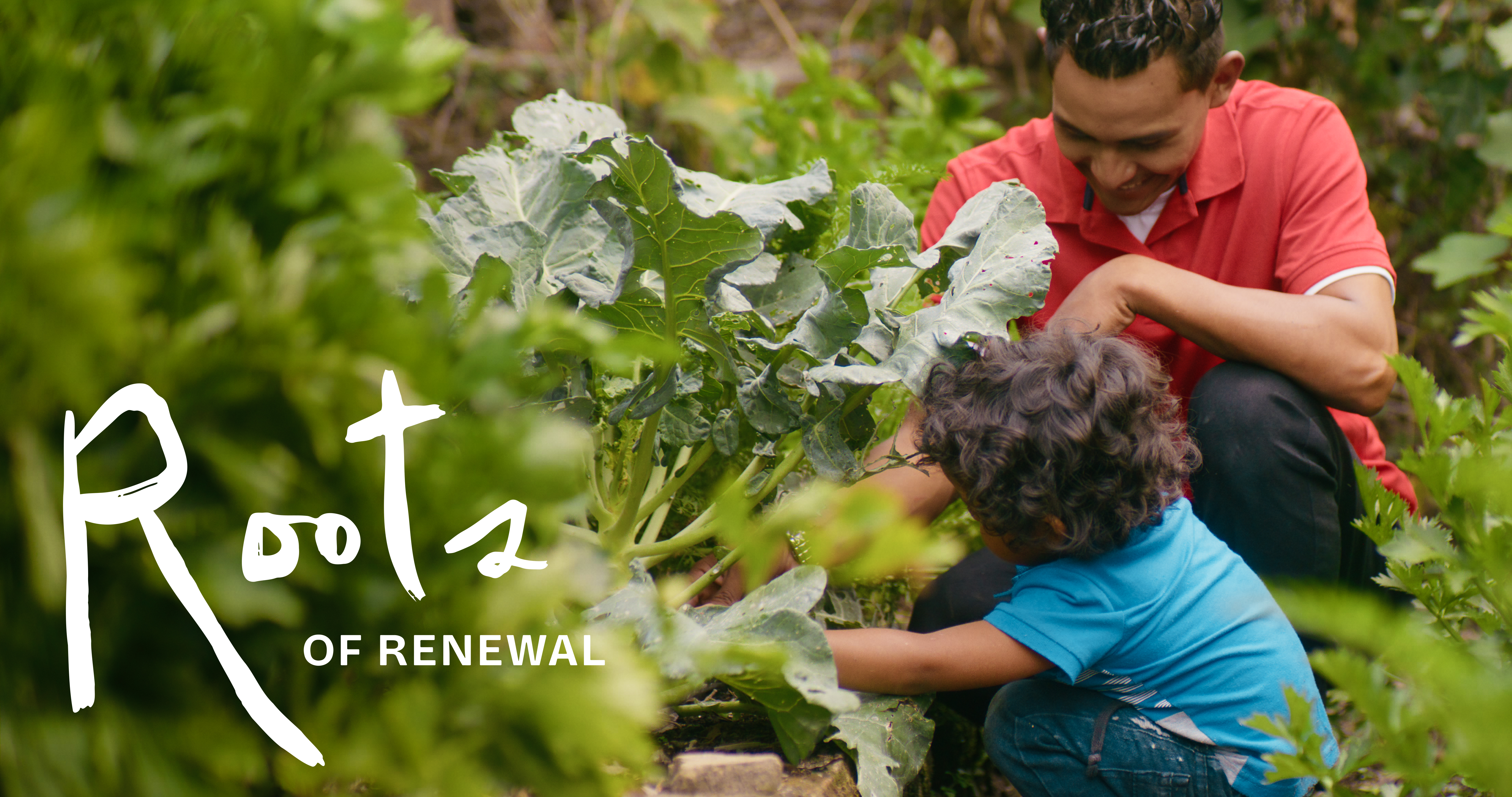 Myriad | Roots of Renewal Documentary | Myriad Video Agency