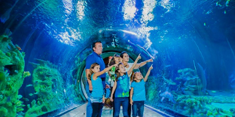 SEA LIFE London Aquarium