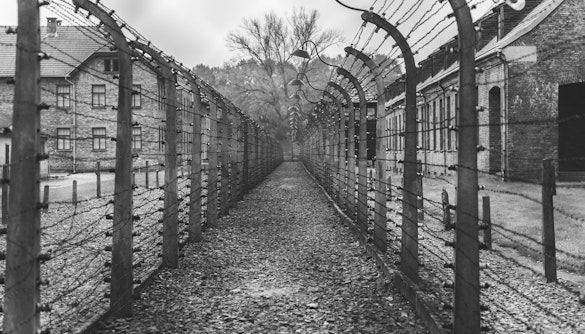 dettagli Auschwitz
