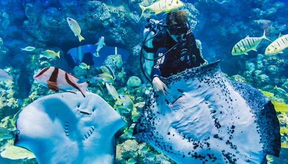 Aquaria KLCC