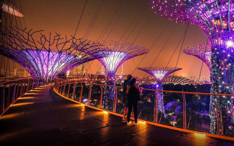 gardens by the bay tickets 39 off tickets online exclusive offers deals