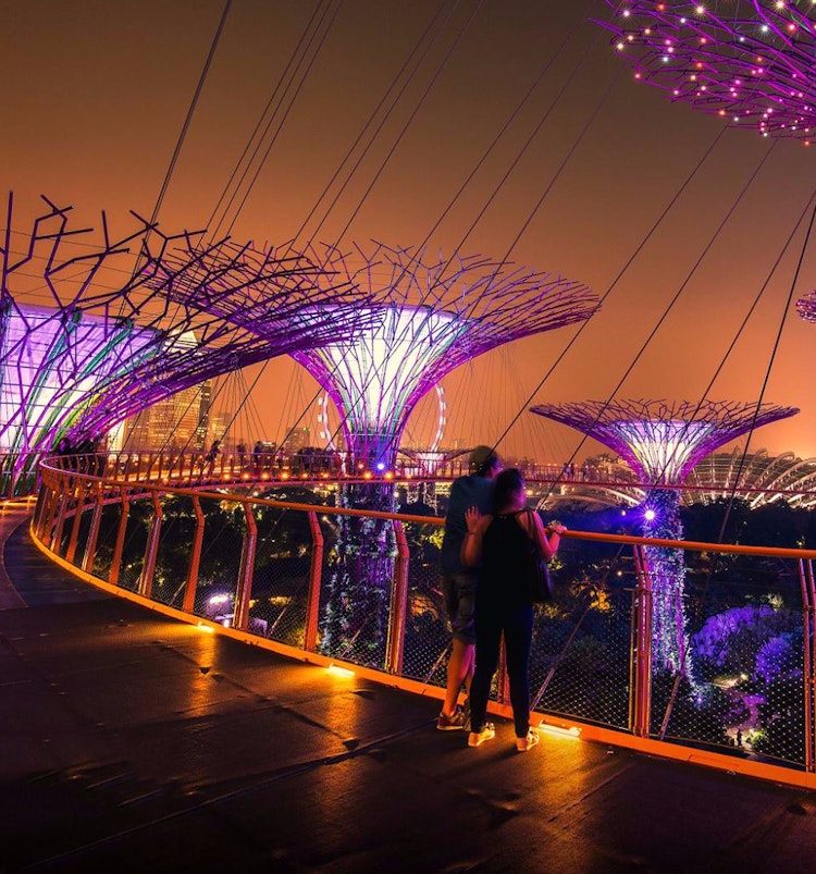 Gardens By The Bay Tickets Book Now