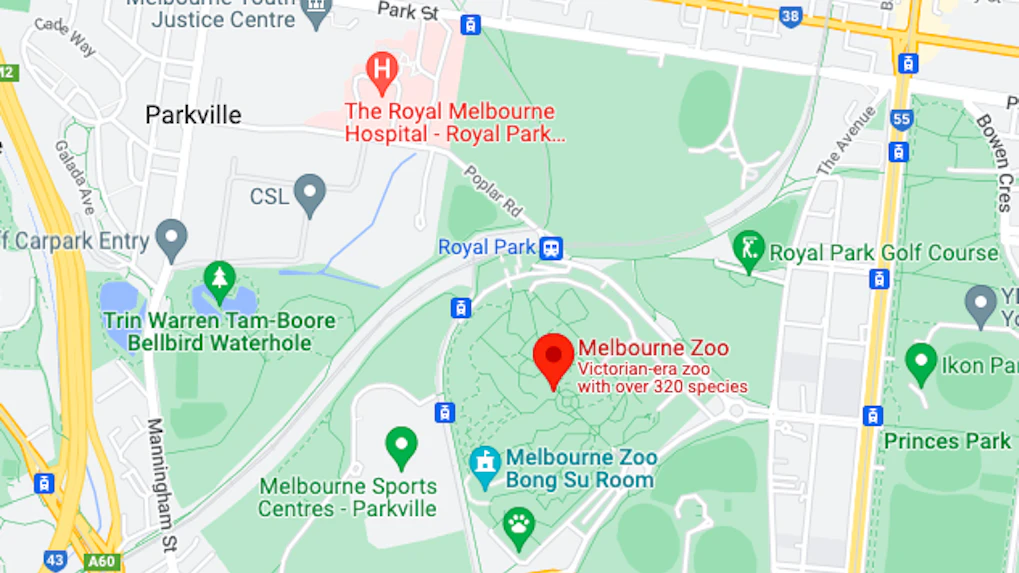 About Melbourne Zoo