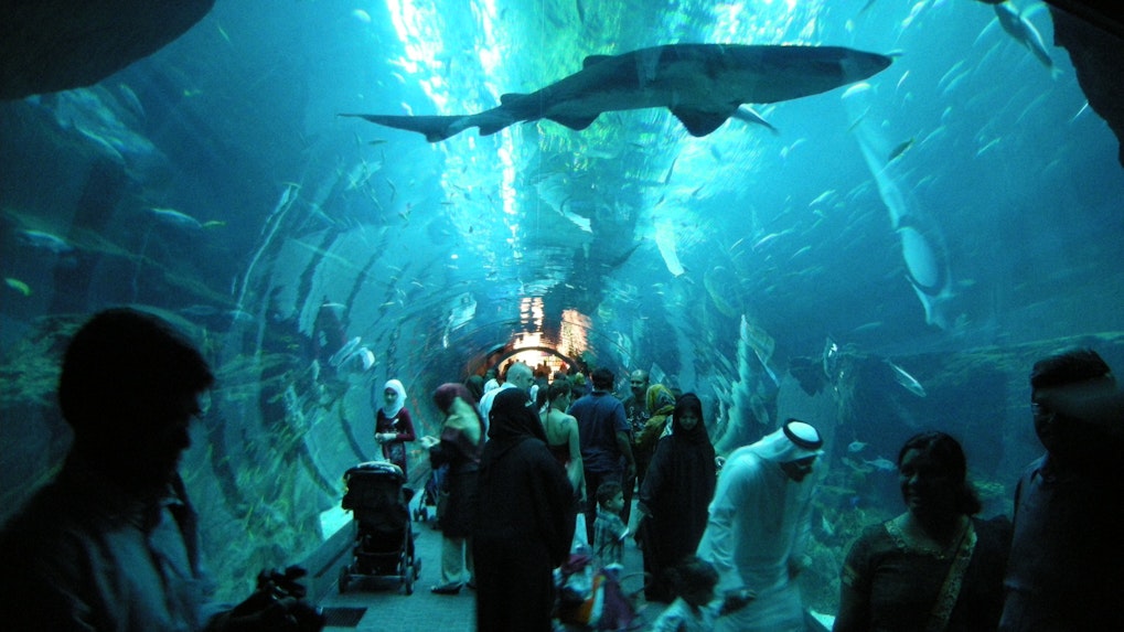 Dubai Aquarium Tank & Aquarium Tunnel