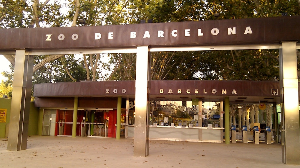 Ingressos Barcelona Zoo