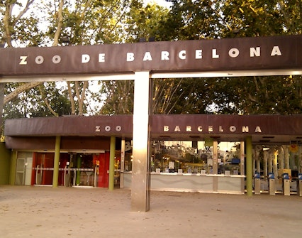 things to do in barcelona-barcelona zoo
