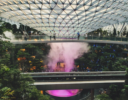 Canopy Bridge