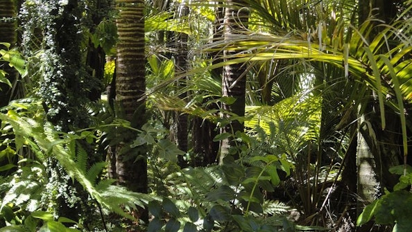 River Safari Zones
