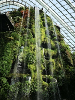 Gardens by the Bay Attractions