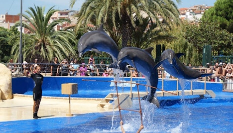 theme parks in barcelona - Marineland Catalunya