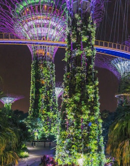 Gardens by the Bay Attractions