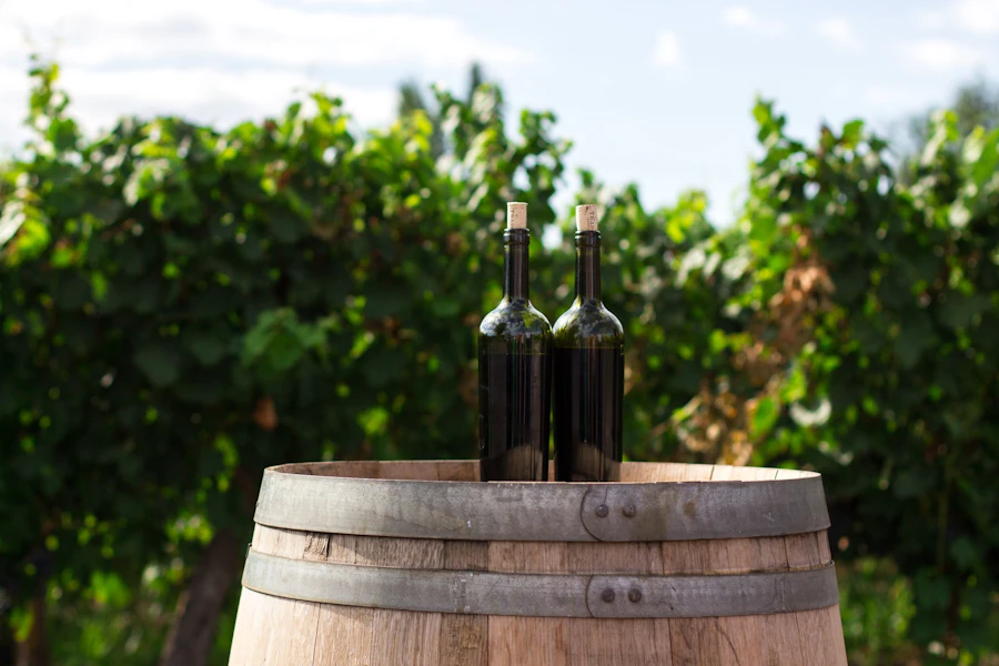 Loire Valley Wineries