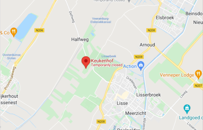 Keukenhof Amsterdam 2023