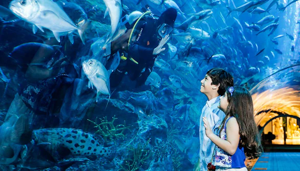 Dubai in April - Dubai Aquarium