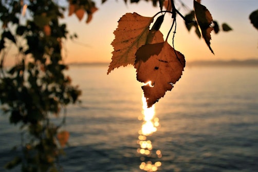 Autumn
